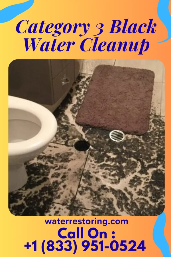 Category 3 Black Water Cleanup in Sylvan Hills, PA