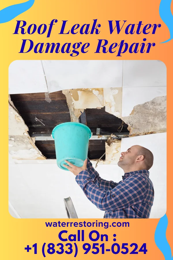 Roof Leak Water Damage Repair in Sylvan Hills, PA