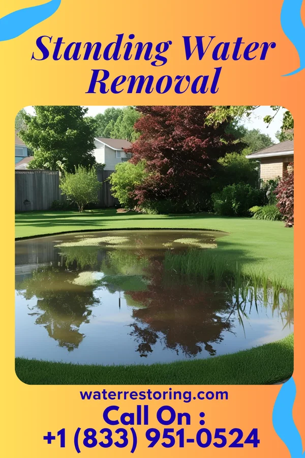 Standing Water Removal in Sylvan Hills, PA